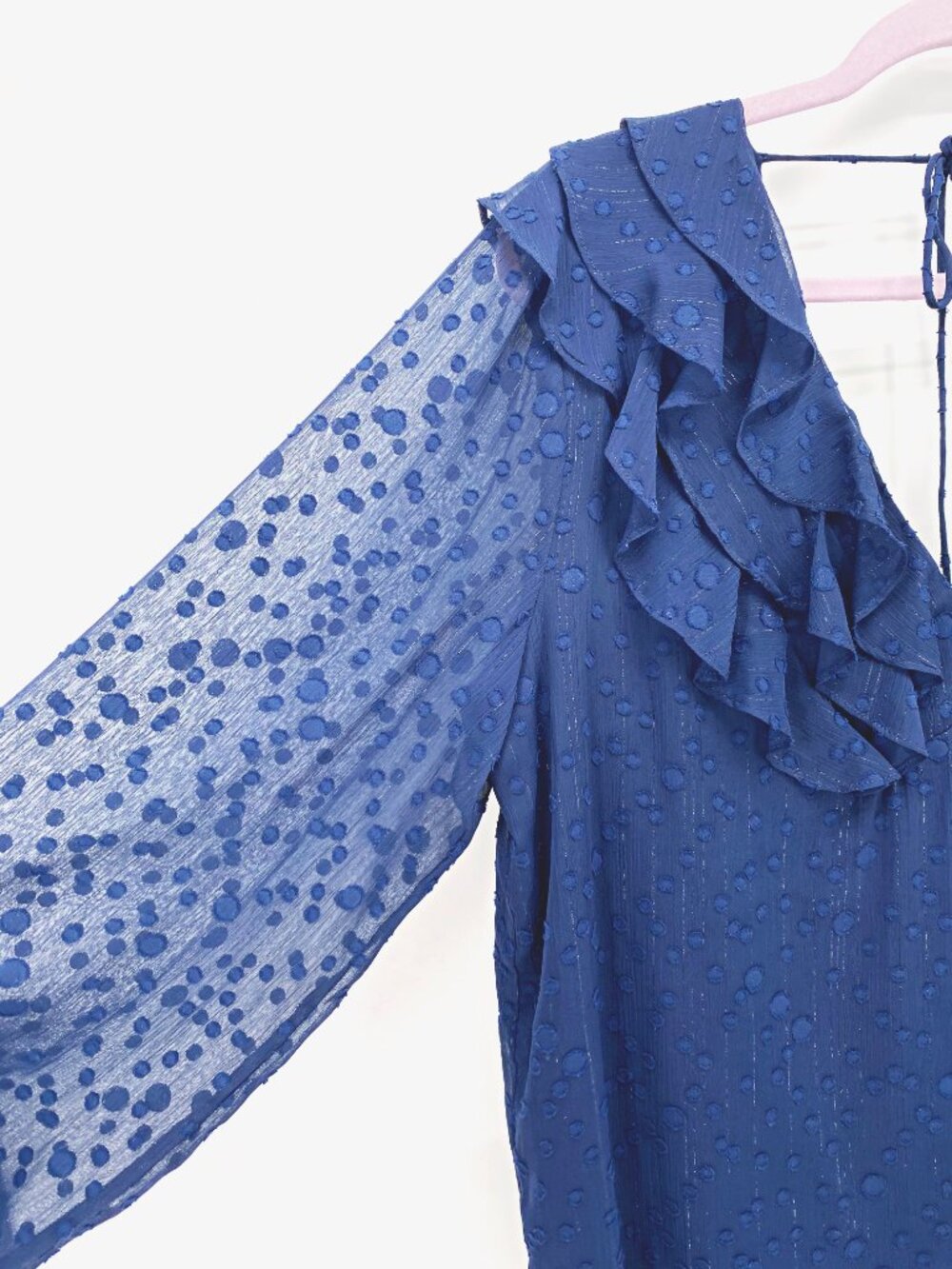 Hutch Swiss Dot Ruffle Blouse - Picture 3 of 13